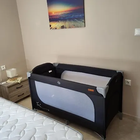 Stellar Blue Palio *